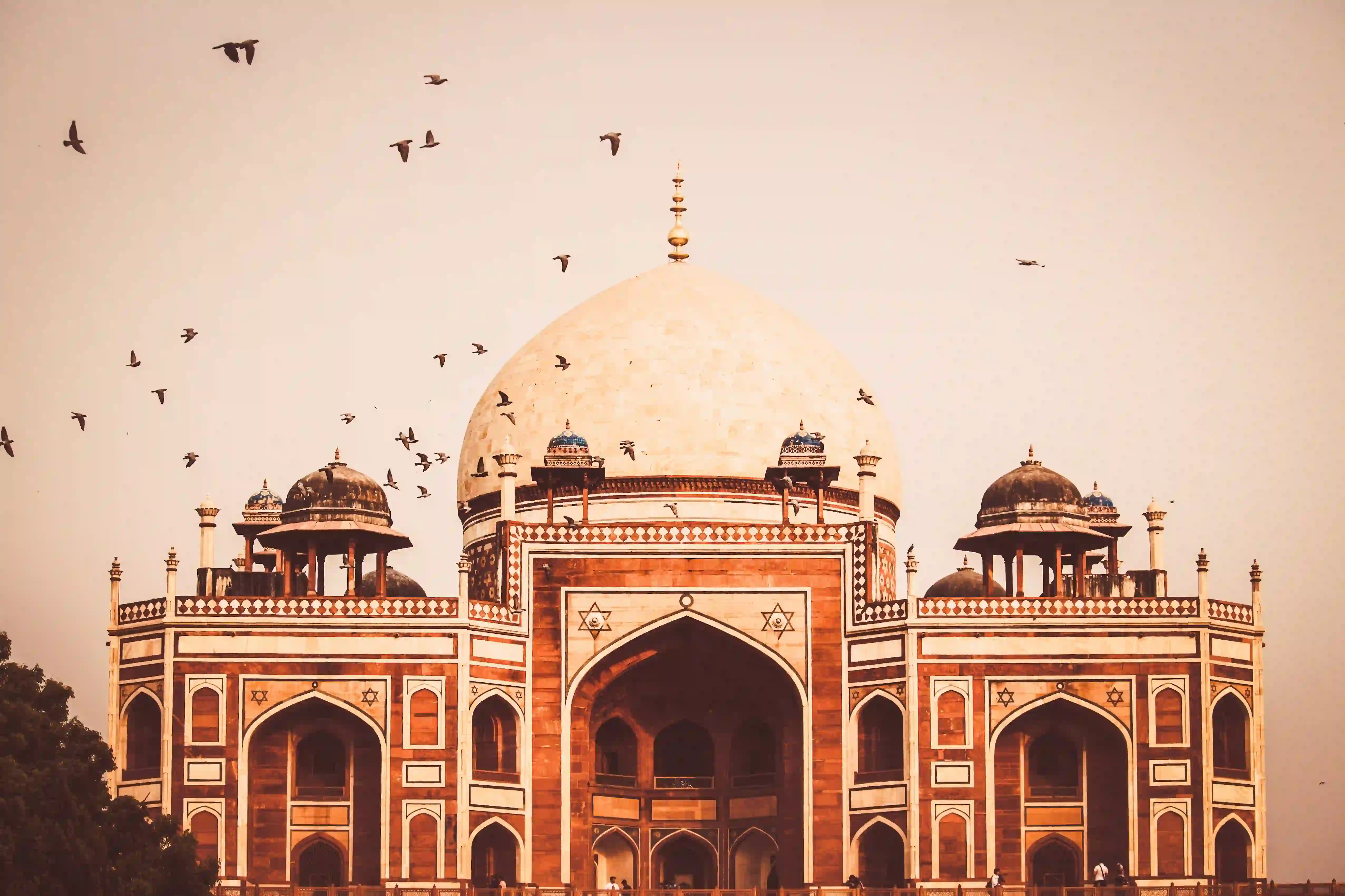 Golden triangle tour with Pushkar Jodhpur 8 Days